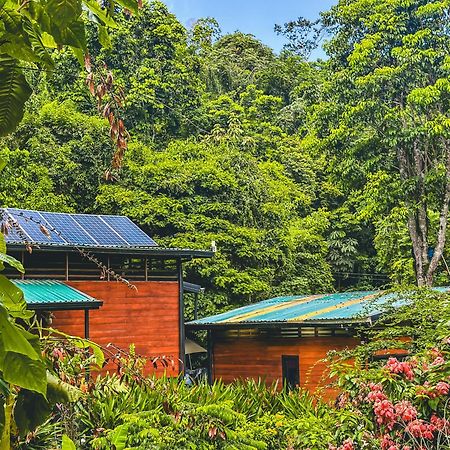 Aparthotel Selva Madre Eco-Sanctuary Cahuita Exterior foto
