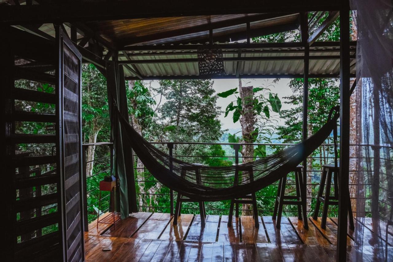 Aparthotel Selva Madre Eco-Sanctuary Cahuita Exterior foto