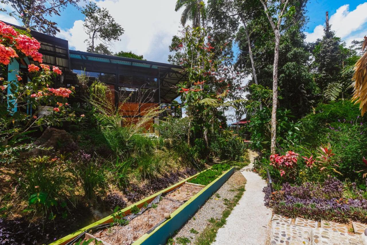 Aparthotel Selva Madre Eco-Sanctuary Cahuita Exterior foto