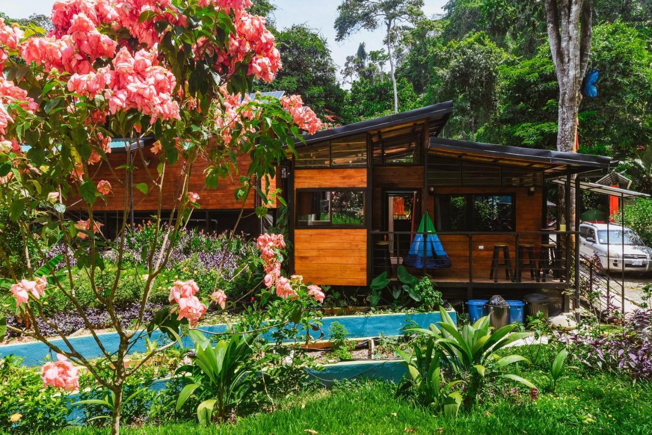 Aparthotel Selva Madre Eco-Sanctuary Cahuita Exterior foto