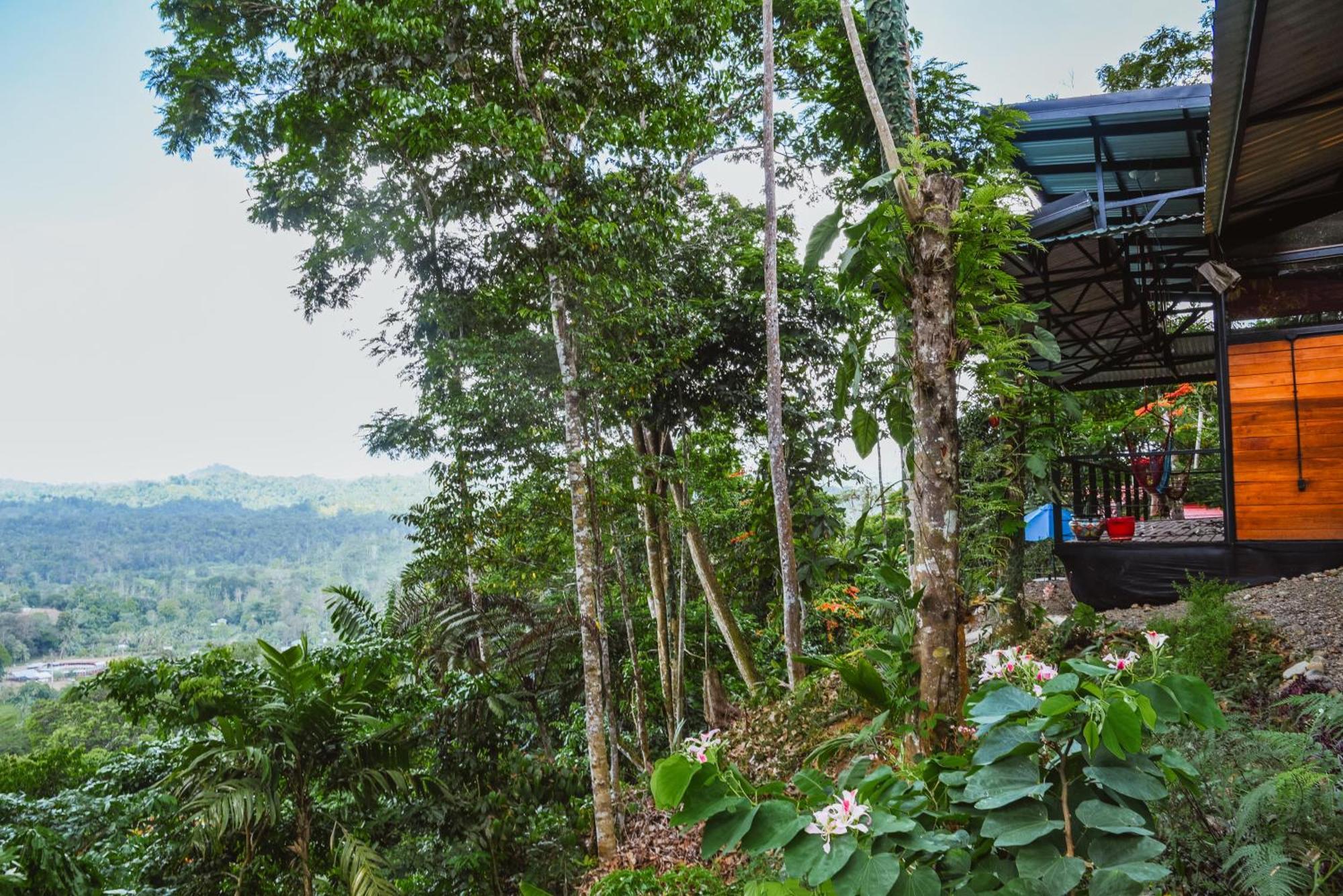 Aparthotel Selva Madre Eco-Sanctuary Cahuita Exterior foto