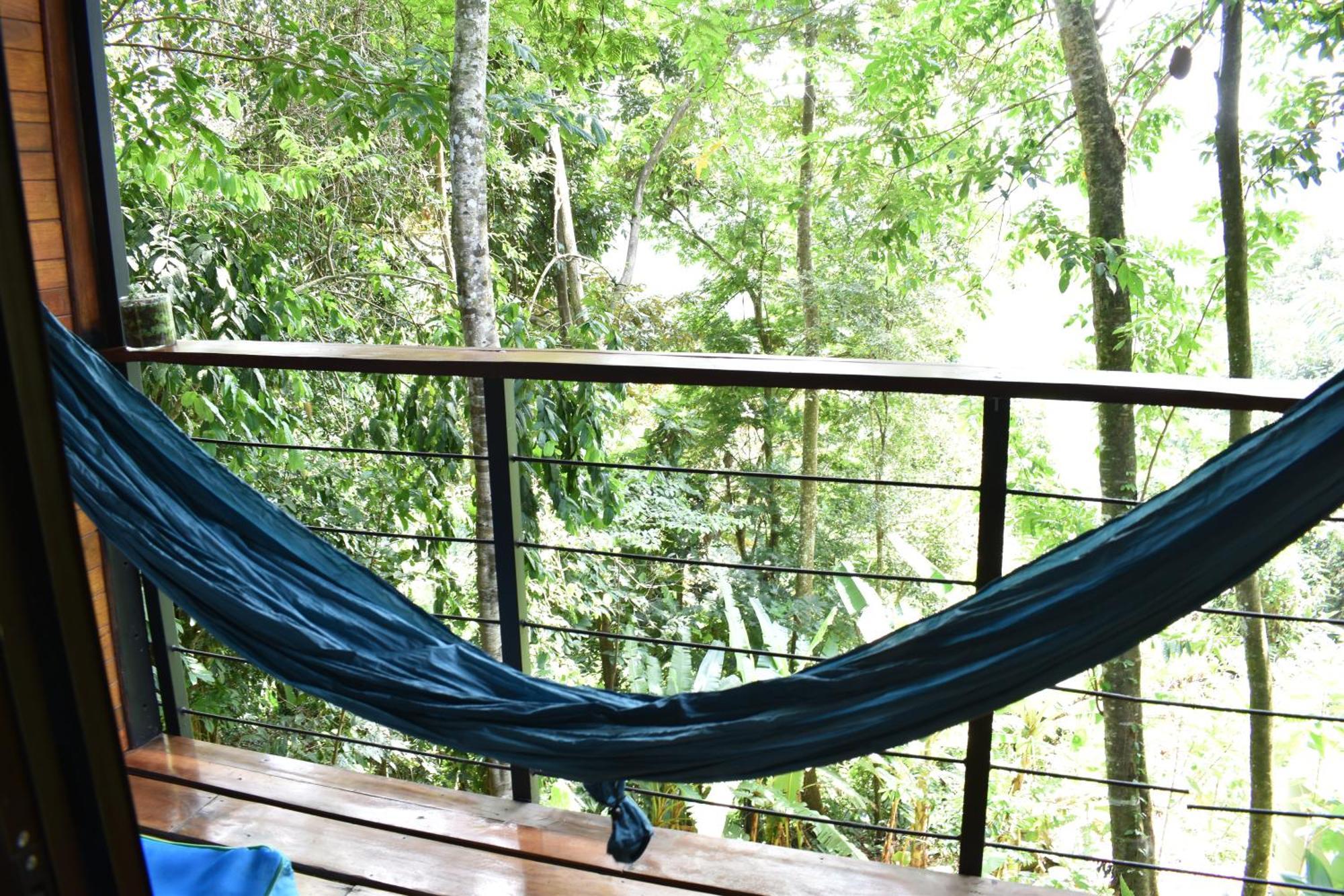 Aparthotel Selva Madre Eco-Sanctuary Cahuita Exterior foto